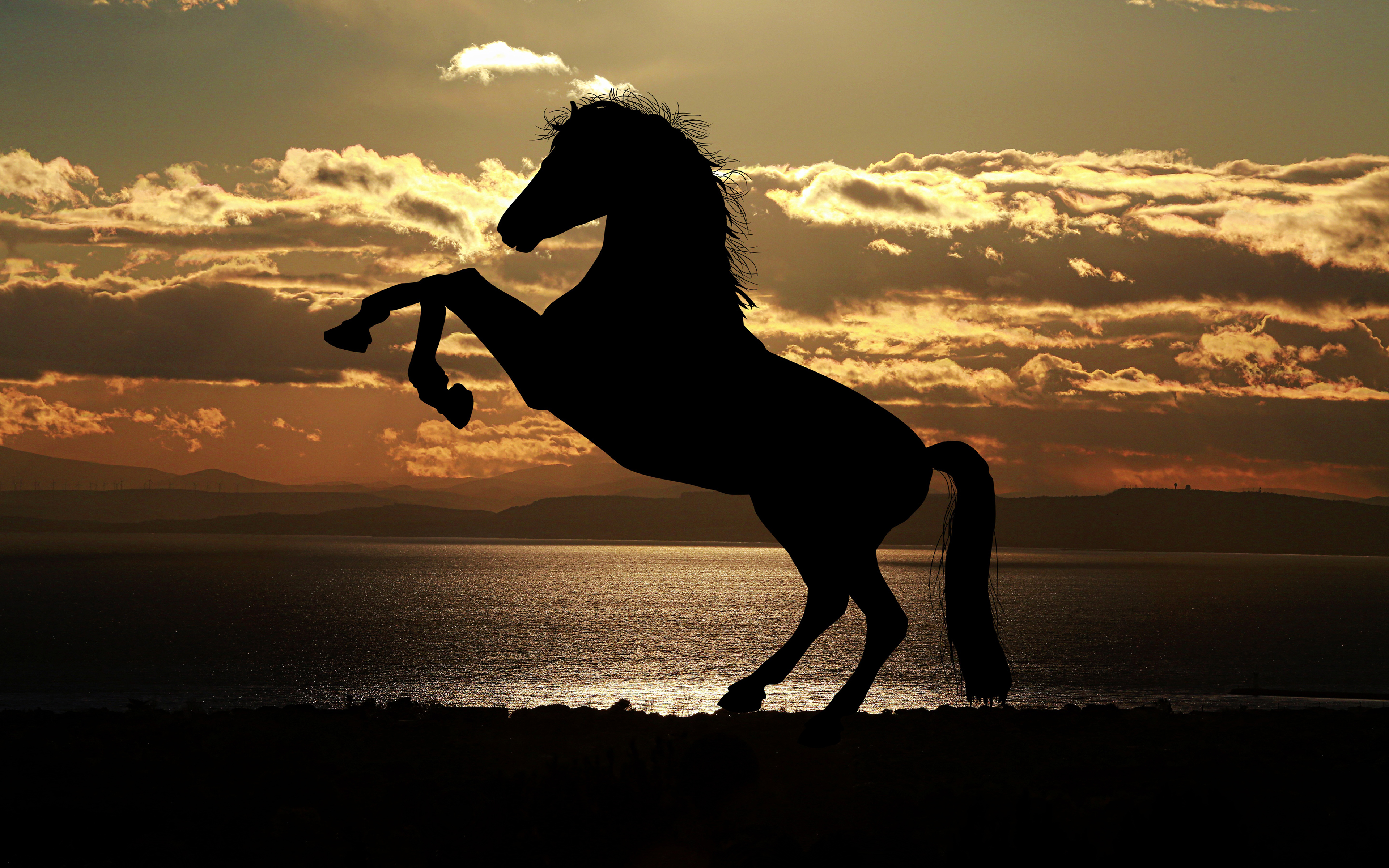 Horse Silhouette at Sunset 4K54502885